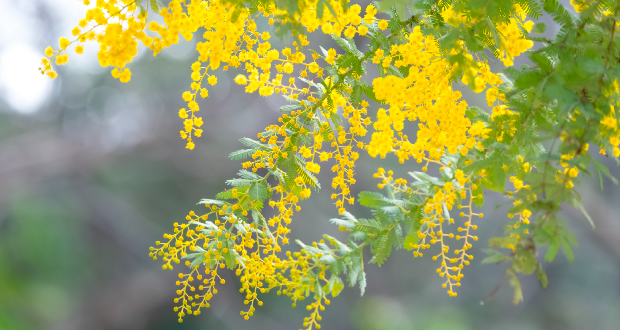 かむいホーム熊本本荘はご利用者さま同士楽しく過ごせる施設